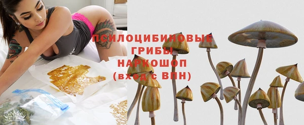 ешки Корсаков