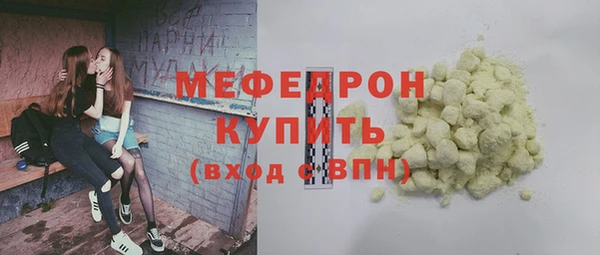 мдпв Краснослободск