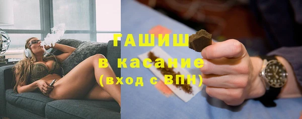 мдпв Краснослободск