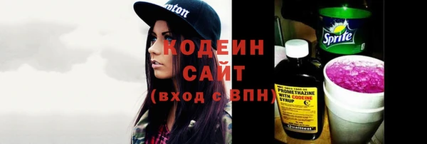 ешки Корсаков