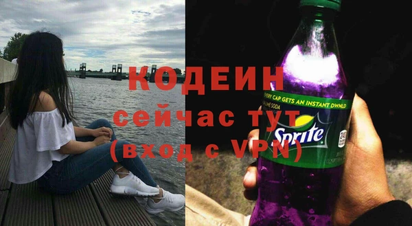мдпв Краснослободск