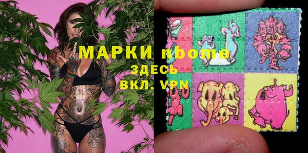 мдпв Краснослободск