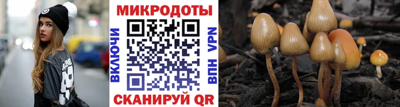 Купить  Йошкар-Ола  Галлюциногенные грибы Psilocybine cubensis 