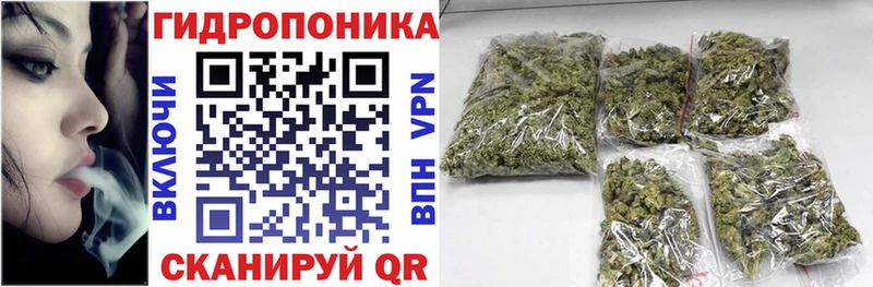 Шишки марихуана SATIVA & INDICA  Купить закладки  Йошкар-Ола 
